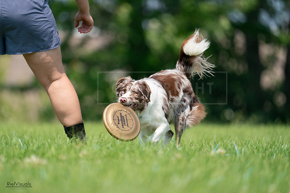 RielVisuals_20240727_115044_SJR04108