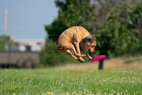 RielVisuals_20240727_093110_SJR06629