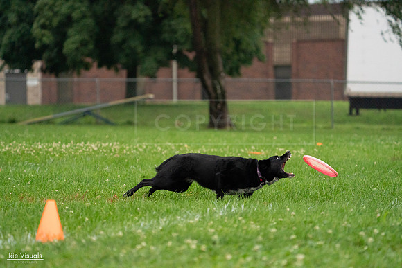RielVisuals_20240722_192932_SJR01198