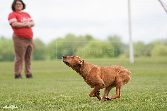 RielVisuals_20240527_141151_SJR01937
