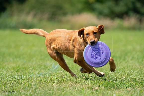 RielVisuals_20240728_123136_SJR04147