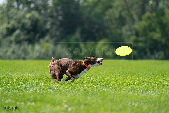 RielVisuals_20240727_125114_SJR06227