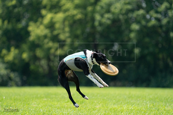 RielVisuals_20240728_132802_SJR06300