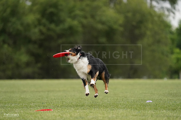 RielVisuals_20240526_131746_SJR07442