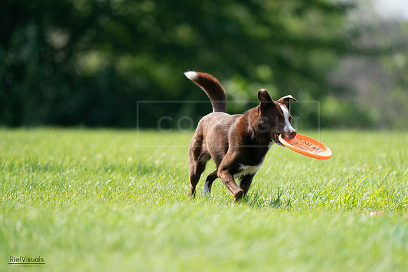 RielVisuals_20240728_152002_SJR00579