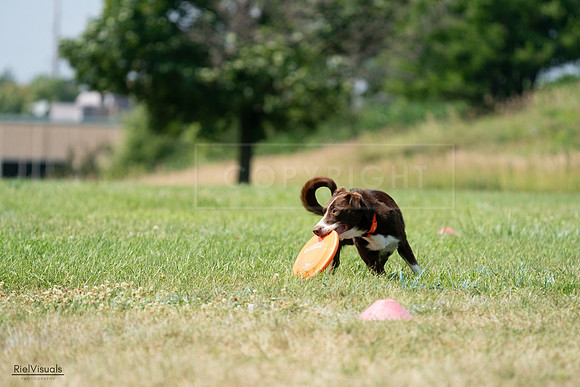 RielVisuals_20240728_144935_SJR09285