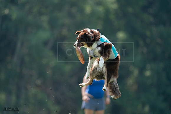 RielVisuals_20240727_120516_SJR04728