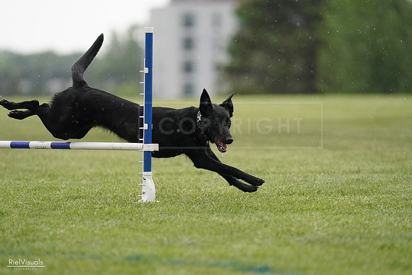 RielVisuals_20240526_092333_SJR09887