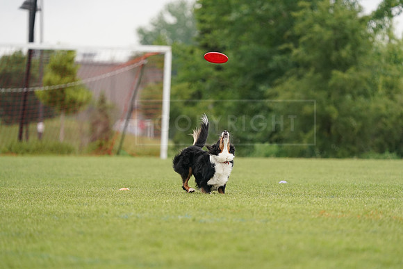 RielVisuals_20240527_122712_SJR06273