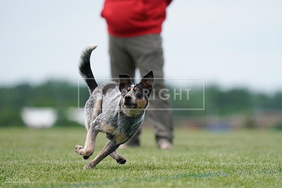 RielVisuals_20240525_125129_SJR01362