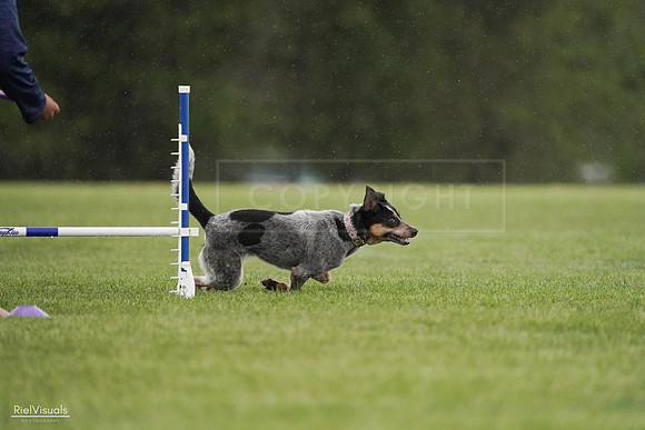 RielVisuals_20240526_094745_SJR01036