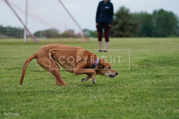 RielVisuals_20240525_161933_SJR04150