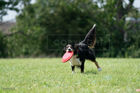 RielVisuals_20240728_144515_SJR09051