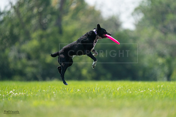 RielVisuals_20240727_125912_SJR06463