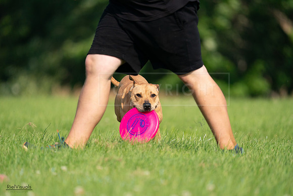 RielVisuals_20240727_093135_SJR06696