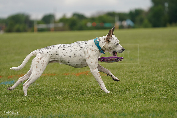 RielVisuals_20240526_134304_SJR08857