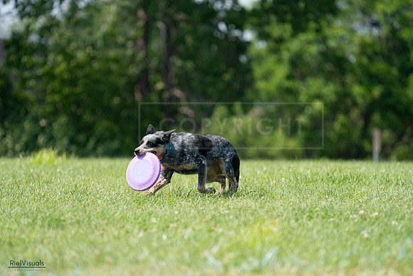 RielVisuals_20240728_145227_SJR09452