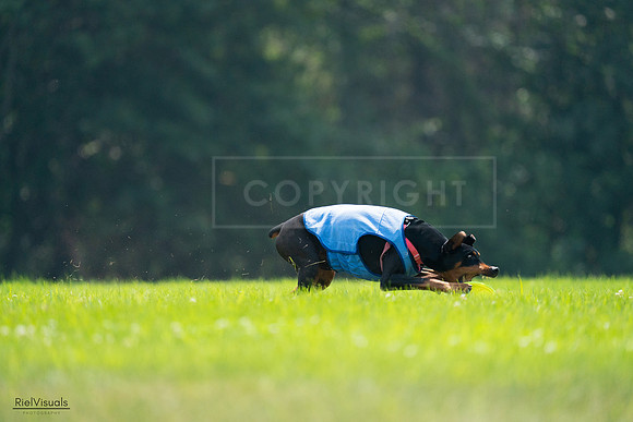 RielVisuals_20240727_122631_SJR05570