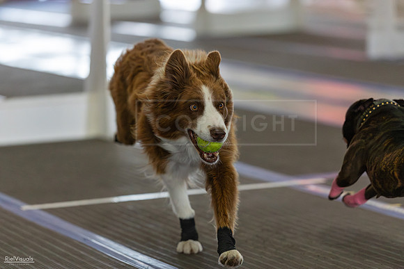 RielVisuals_20260802_101421_SJR_8102