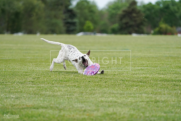 RielVisuals_20240525_160331_SJR03337