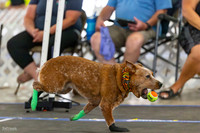 RielVisuals_20260801_083906_SJR_1672