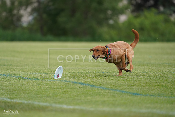 RielVisuals_20240525_160916_SJR03586