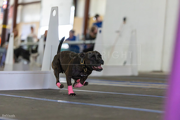 RielVisuals_20260802_152449_SJR_9467