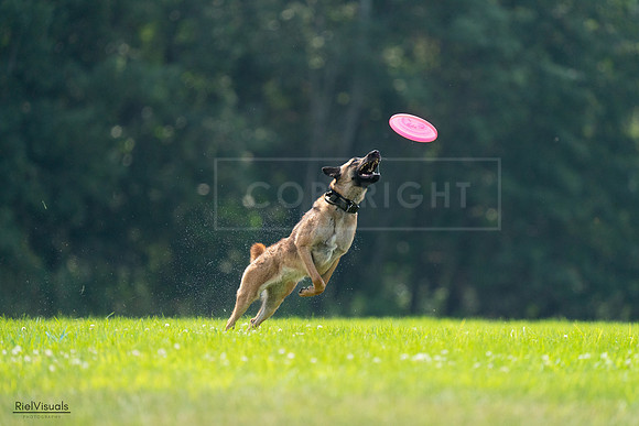 RielVisuals_20240727_123627_SJR05969