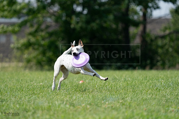 RielVisuals_20240728_144228_SJR08961