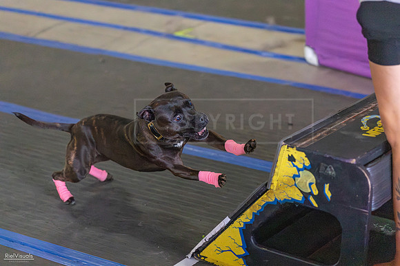 RielVisuals_20260802_152349_SJR_9383