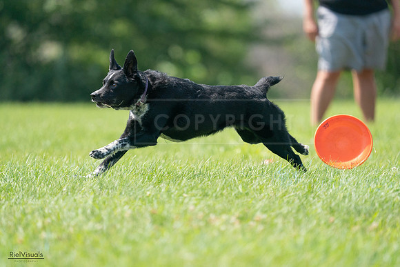 RielVisuals_20240728_143748_SJR08728