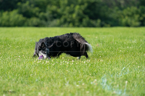 RielVisuals_20240728_103051_SJR08352