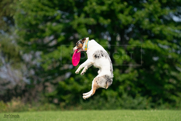 RielVisuals_20240727_100247_SJR08347