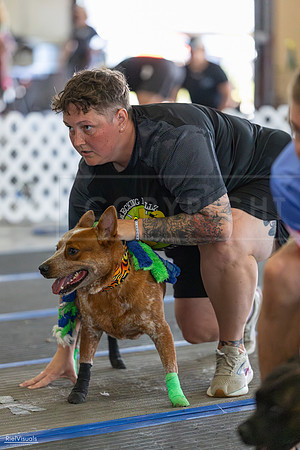 RielVisuals_20260802_101526_SJR_8260