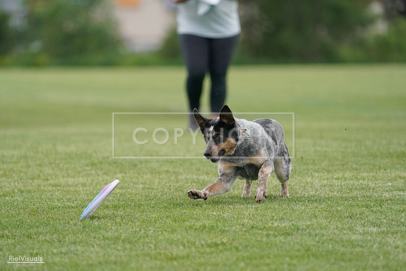 RielVisuals_20240525_164141_SJR05182