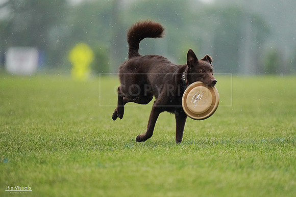 RielVisuals_20240527_100812_SJR09271