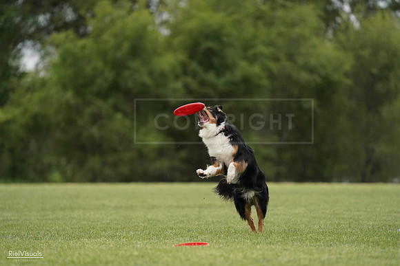 RielVisuals_20240526_131746_SJR07435