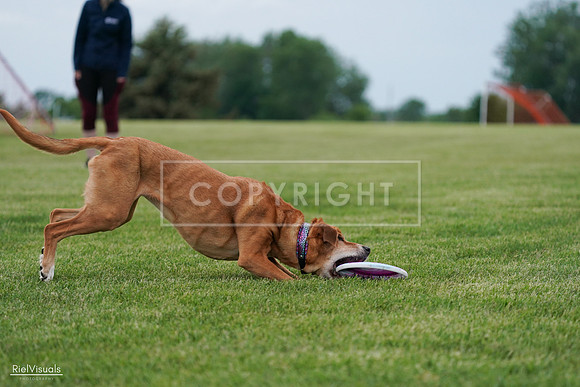RielVisuals_20240525_161934_SJR04153
