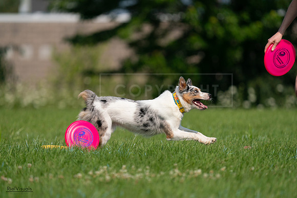 RielVisuals_20240727_100223_SJR08306