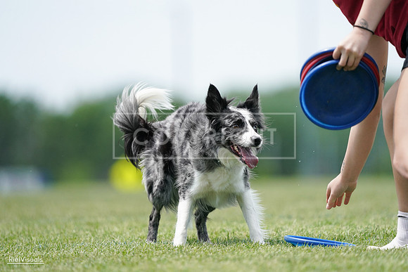 RielVisuals_20240525_124451_SJR01157