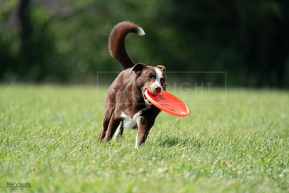 RielVisuals_20240728_152050_SJR00641