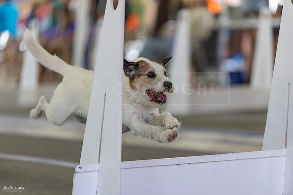 RielVisuals_20260802_152825_SJR_9737