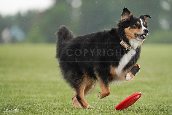 RielVisuals_20240526_094617_SJR00993