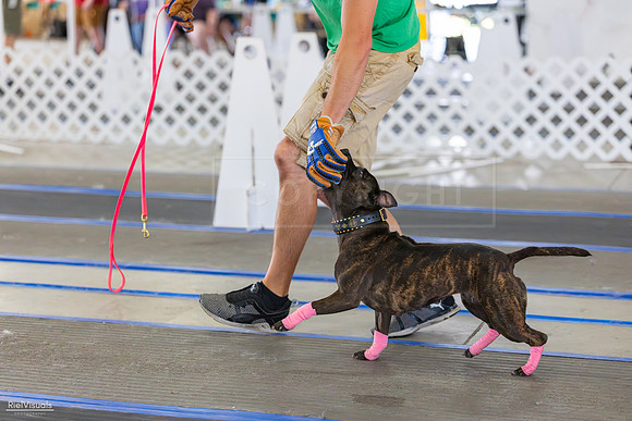 RielVisuals_20260801_165118_SJR_4514