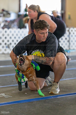 RielVisuals_20260802_101523_SJR_8245