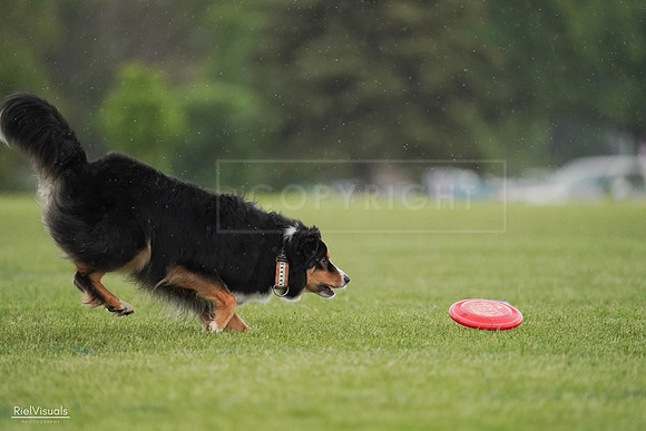 RielVisuals_20240526_094542_SJR00925