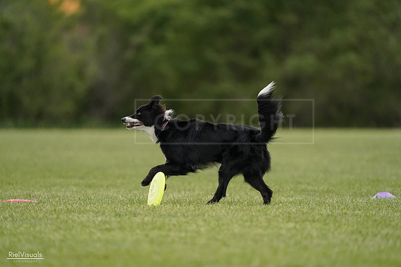 RielVisuals_20240526_132508_SJR07726