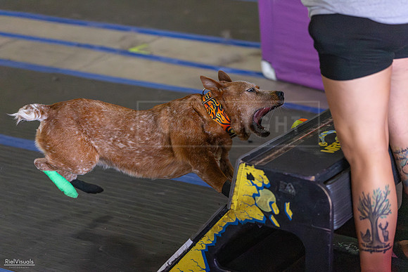 RielVisuals_20260802_152354_SJR_9413