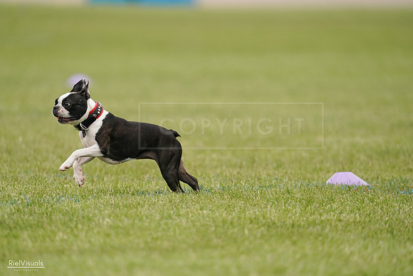 RielVisuals_20240527_142619_SJR02715