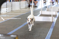 RielVisuals_20260802_090642_SJR_7148